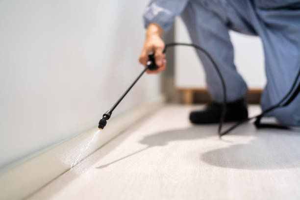 Professional exterminator conducting IPM assessment in Roxana